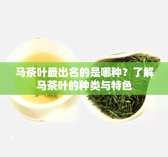 马茶叶最出名的是哪种？了解马茶叶的种类与特色