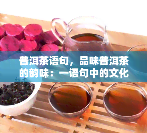 普洱茶语句，品味普洱茶的韵味：一语句中的文化与历