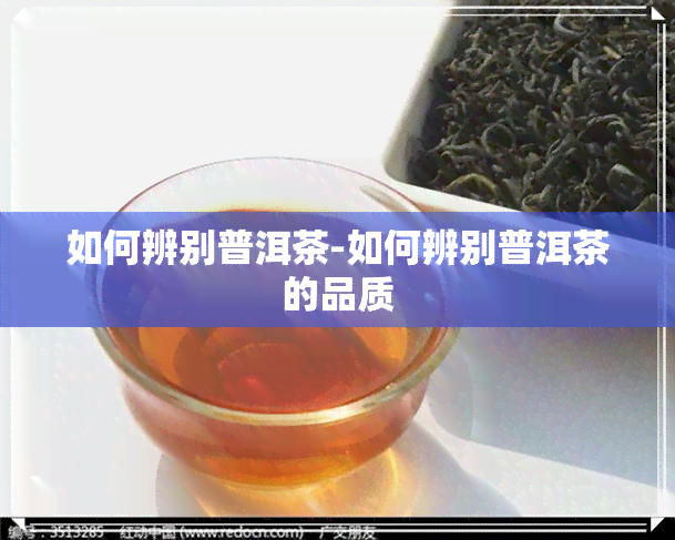 如何辨别普洱茶-如何辨别普洱茶的品质