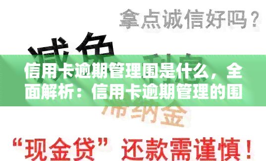 信用卡逾期管理围是什么，全面解析：信用卡逾期管理的围与细节