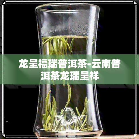 龙呈福瑞普洱茶-云南普洱茶龙瑞呈祥