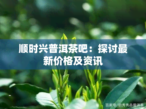 顺时兴普洱茶吧：探讨最新价格及资讯