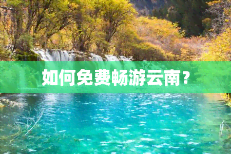 如何免费畅游云南？