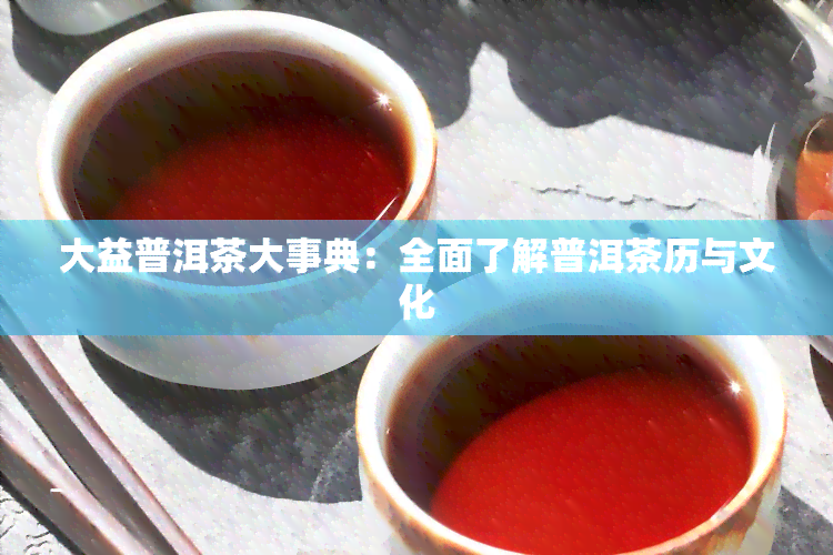 大益普洱茶大事典：全面了解普洱茶历与文化