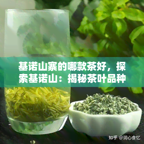 基诺山寨的哪款茶好，探索基诺山：揭秘茶叶品种