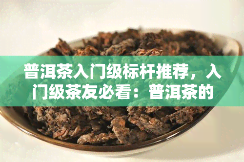 普洱茶入门级标杆推荐，入门级茶友必看：普洱茶的标杆推荐