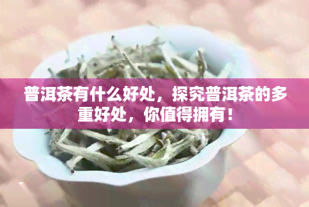 普洱茶有什么好处，探究普洱茶的多重好处，你值得拥有！