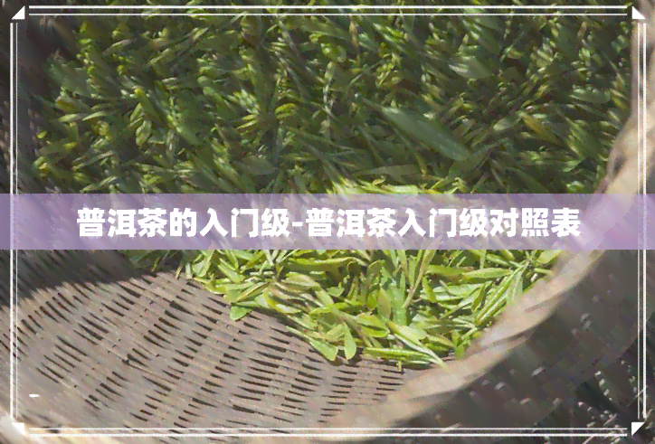 普洱茶的入门级-普洱茶入门级对照表