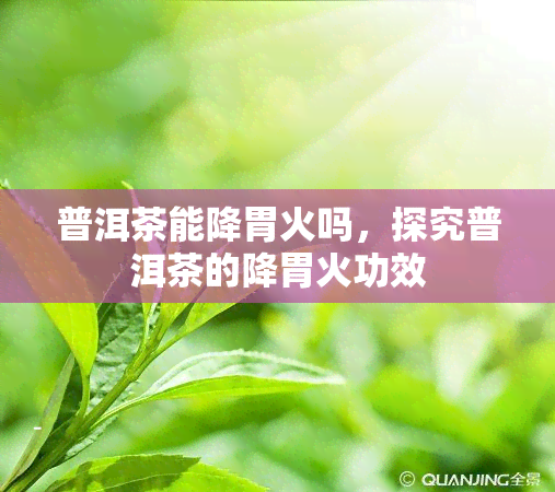 普洱茶能降胃火吗，探究普洱茶的降胃火功效