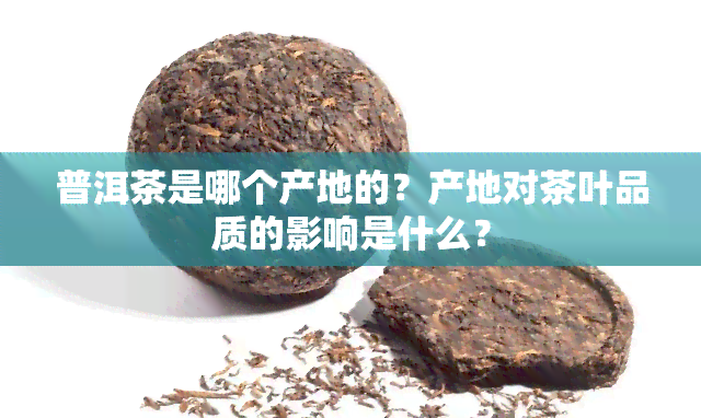 普洱茶是哪个产地的？产地对茶叶品质的影响是什么？