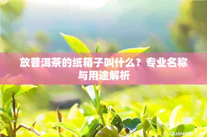 放普洱茶的纸箱子叫什么？专业名称与用途解析