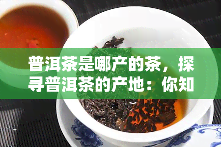 普洱茶是哪产的茶，探寻普洱茶的产地：你知道它是哪里产的吗？