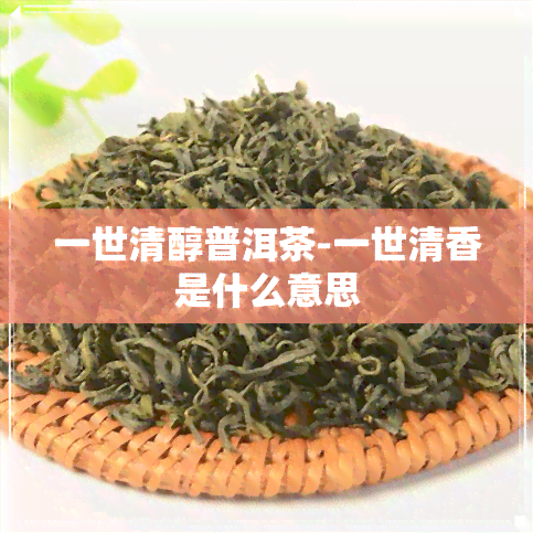 一世清醇普洱茶-一世清香是什么意思