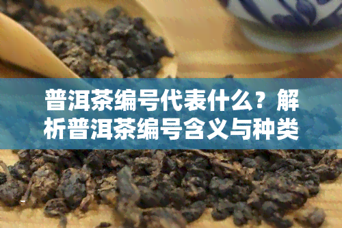 普洱茶编号代表什么？解析普洱茶编号含义与种类