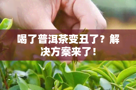 喝了普洱茶变丑了？解决方案来了！