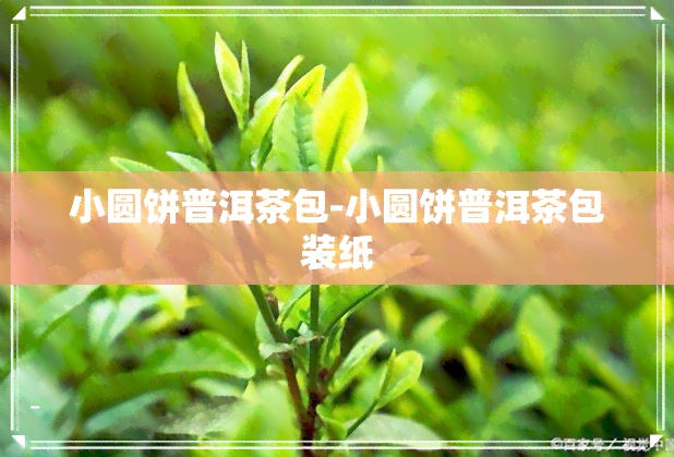 小圆饼普洱茶包-小圆饼普洱茶包装纸