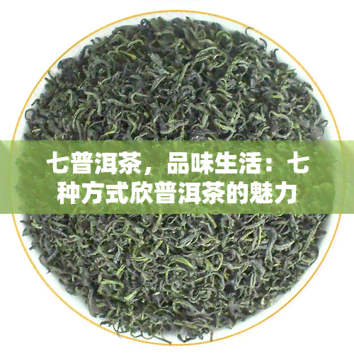 七普洱茶，品味生活：七种方式欣普洱茶的魅力