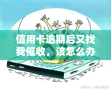 信用卡逾期后又找我，该怎么办？真有其事吗？