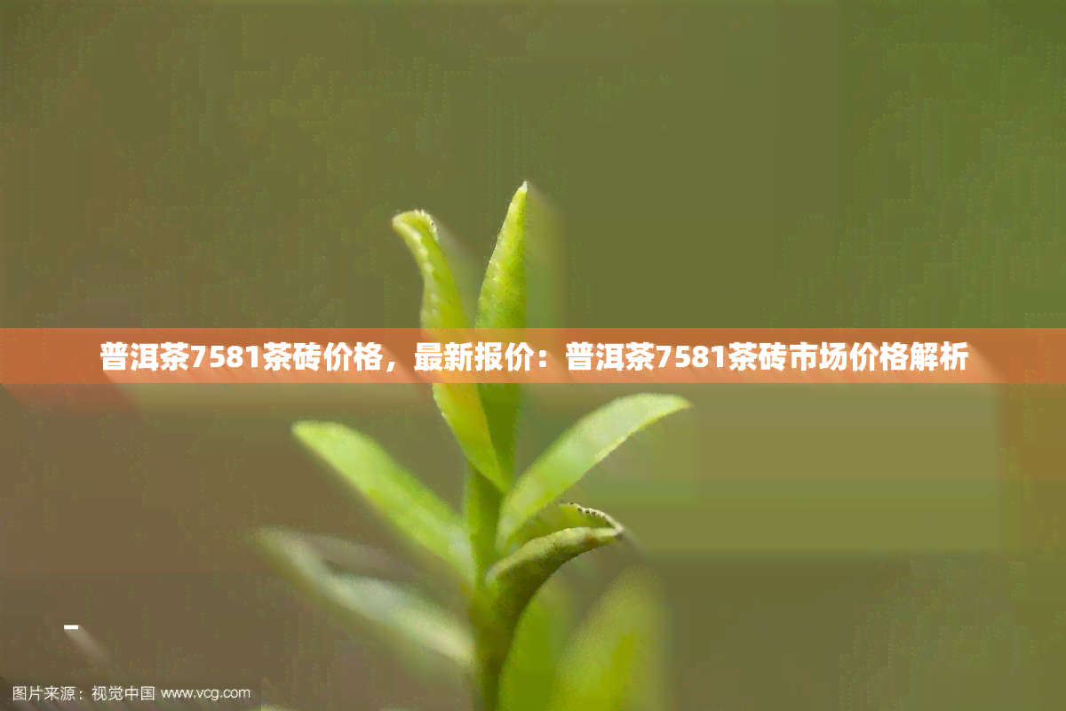 普洱茶7581茶砖价格，最新报价：普洱茶7581茶砖市场价格解析