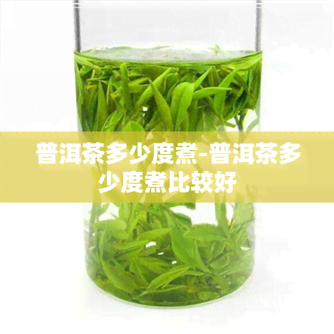 普洱茶多少度煮-普洱茶多少度煮比较好