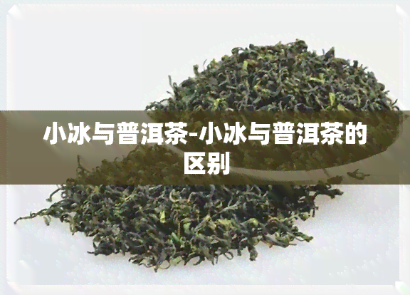 小冰与普洱茶-小冰与普洱茶的区别