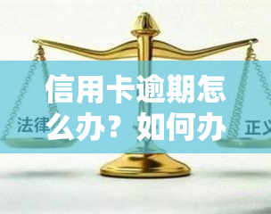 信用卡逾期怎么办？如何办理分期还款，逾期几天会否影响信用记录？