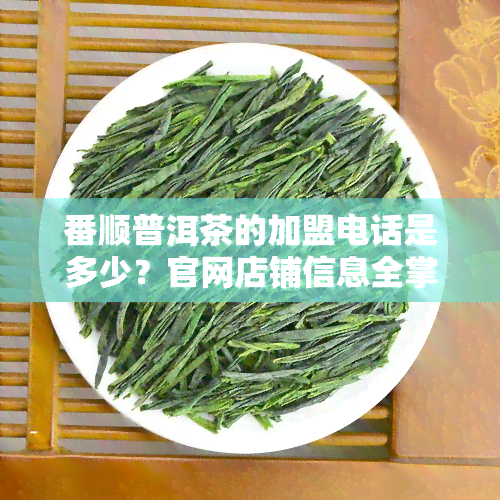 番顺普洱茶的加盟电话是多少？官网店铺信息全掌握！