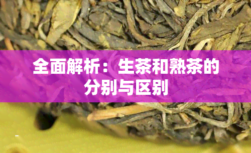 全面解析：生茶和熟茶的分别与区别