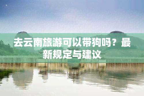 去云南旅游可以带狗吗？最新规定与建议