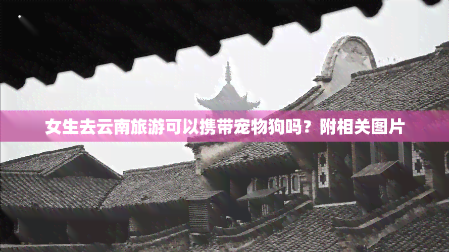 女生去云南旅游可以携带宠物狗吗？附相关图片