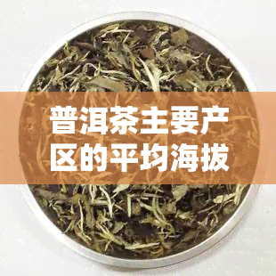 普洱茶主要产区的平均海拔在多少米，揭秘普洱茶的主要产区：平均海拔高度解析