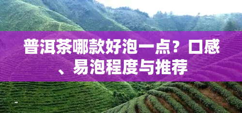 普洱茶哪款好泡一点？口感、易泡程度与推荐