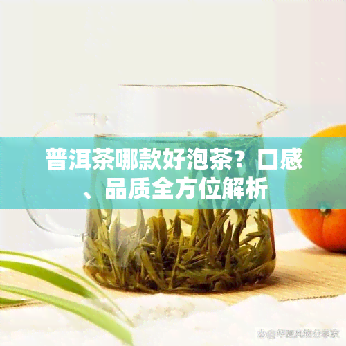 普洱茶哪款好泡茶？口感、品质全方位解析