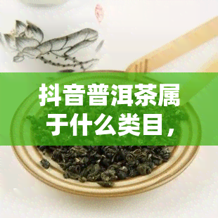 抖音普洱茶属于什么类目，抖音普洱茶：品类归属大揭秘