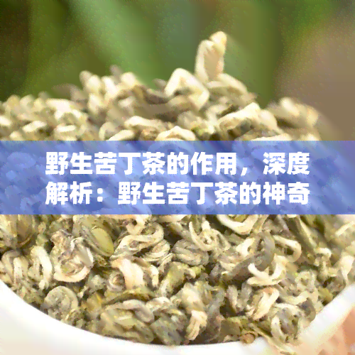 野生苦丁茶的作用，深度解析：野生苦丁茶的神奇作用与健益处