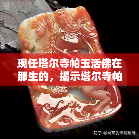 现任塔尔寺帕玉活佛在那生的,揭示塔尔寺帕玉活佛的真实身份:他在哪里