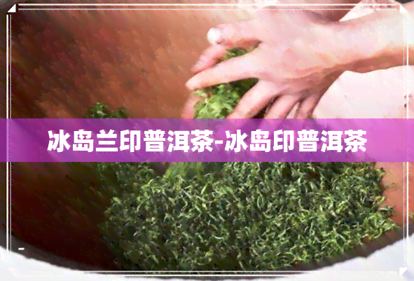 冰岛兰印普洱茶-冰岛印普洱茶