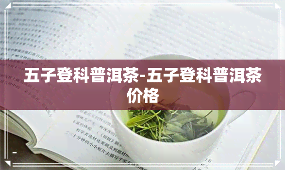 五子登科普洱茶-五子登科普洱茶价格