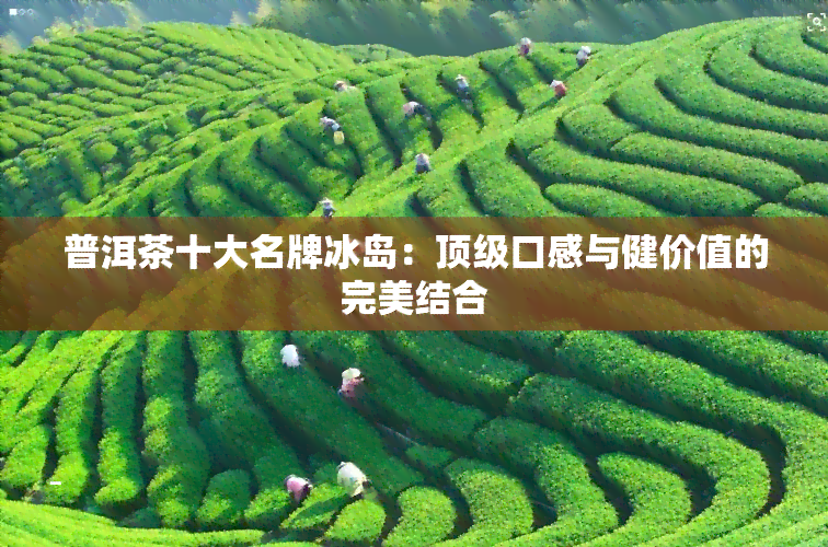 普洱茶十大名牌冰岛：顶级口感与健价值的完美结合