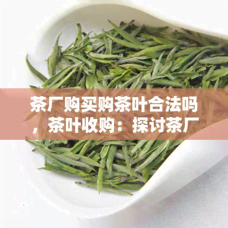 茶厂购买购茶叶合法吗，茶叶收购：探讨茶厂合法购买茶叶的途径和规定