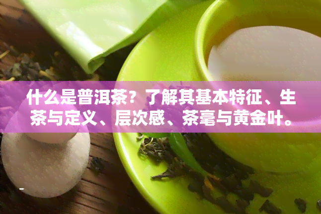 什么是普洱茶？了解其基本特征、生茶与定义、层次感、茶毫与黄金叶。