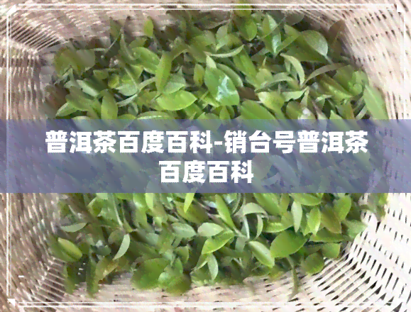 普洱茶百度百科-销台号普洱茶百度百科