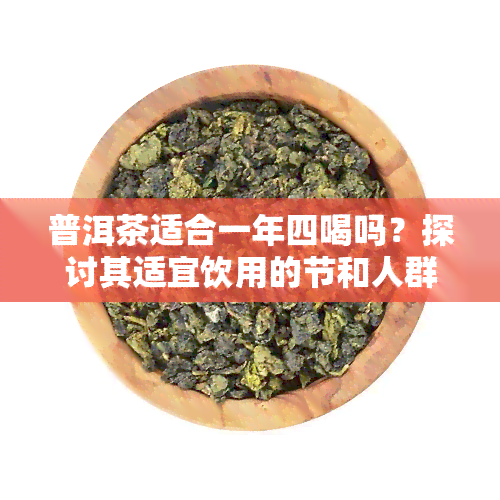 普洱茶适合一年四喝吗？探讨其适宜饮用的节和人群