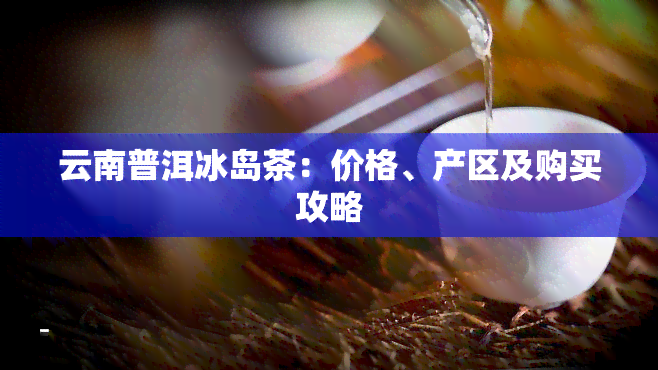 云南普洱冰岛茶：价格、产区及购买攻略