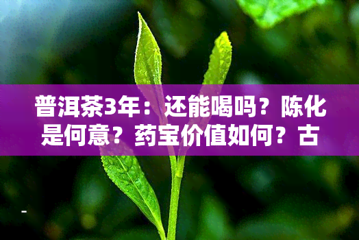 普洱茶3年：还能喝吗？陈化是何意？药宝价值如何？古树茶价格多少？为何有怪味？与7年有何不同？