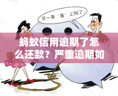 蚂蚁信用逾期了怎么还款？严重逾期如何解决？