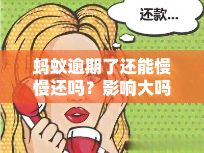 蚂蚁逾期了还能慢慢还吗？影响大吗？会怎样？多久被起诉？严重后果是什么？是否会上？