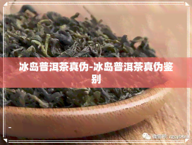 冰岛普洱茶真伪-冰岛普洱茶真伪鉴别