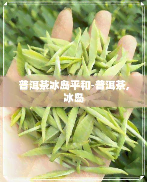 普洱茶冰岛平和-普洱茶,冰岛