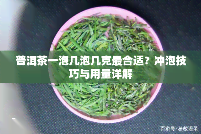 普洱茶一泡几泡几克最合适？冲泡技巧与用量详解